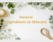 The Power of Natural Ingredients in Skincare